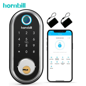 WIFI Electronic Smart Lock Biometric Fingerprint Locks