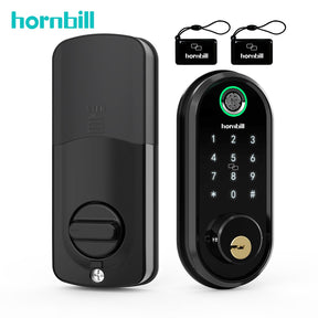 WIFI Electronic Smart Lock Biometric Fingerprint Locks