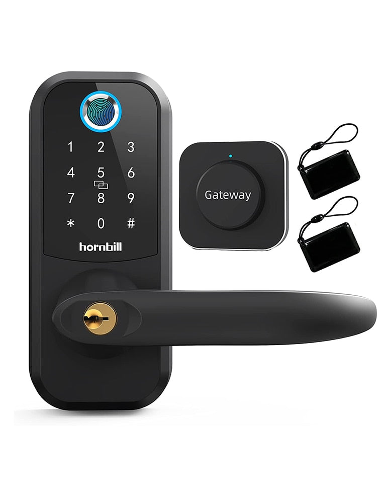 Fingerprint WIFI Smart Door Lock Electronic Keyless Entry