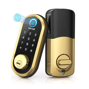 WIFI Electronic Smart Lock Biometric Fingerprint Locks